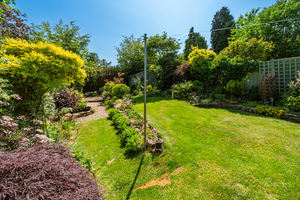 REAR GARDEN- click for photo gallery